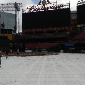 Meet your Posher, Ronalda